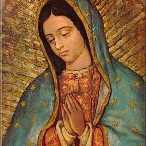 Meet your Posher, Arthur